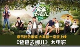 爸爸去哪儿电影版在线观看,温馨亲子之旅，在线观看感动满满